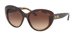 Coach HC8206 539413 Dark Tortoiseshell/Brown Gradient