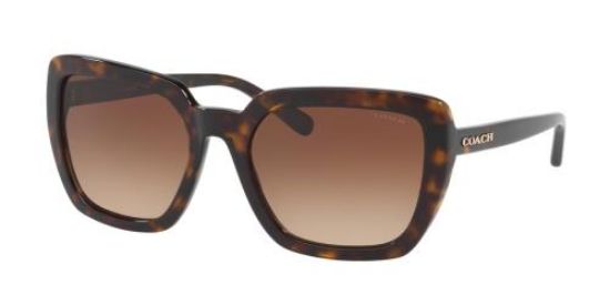 
            
                Load image into Gallery viewer, Coach HC8217 512013 Tortoiseshell/Brown
            
        